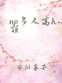np多人高h小说