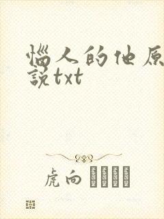 恼人的他原著小说txt