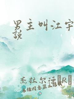 男主叫江宇的小说