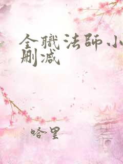 全职法师小说无删减