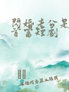 闪婚老公是千亿首富短剧