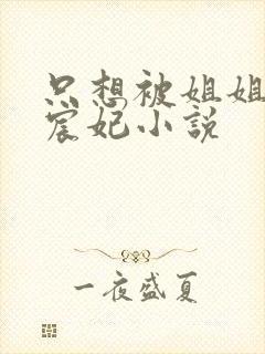 只想被姐姐惩罚宸妃小说