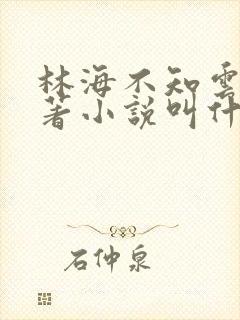 林海不知云深原著小说叫什么