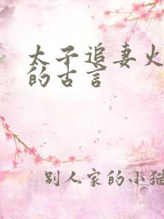 太子追妻火葬场的古言