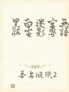 黑白迷宫无删减版电影粤语