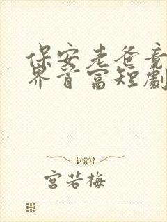 保安老爸竟是世界首富短剧免费看网站