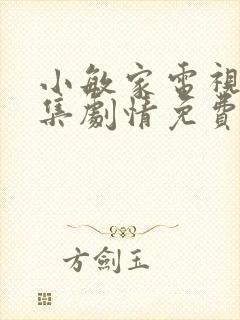 小敏家电视剧全集剧情免费观看