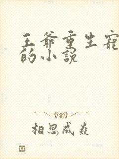 王爷重生宠暗卫的小说