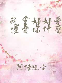 我会好好爱你傻傻爱你什么歌