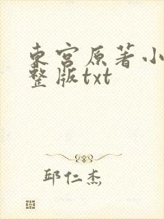 东宫原著小说完整版txt