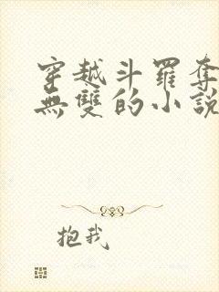 穿越斗罗夺舍火无双的小说