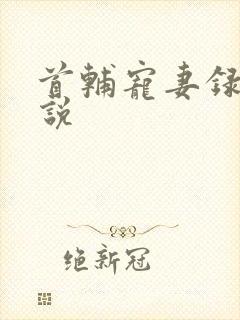 首辅宠妻录 小说