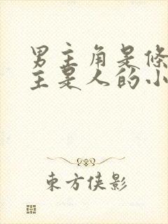 男主角是条龙女主是人的小说