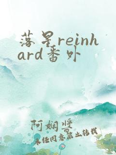 落星reinhard番外