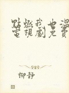 点燃我也温暖你电视剧免费观看