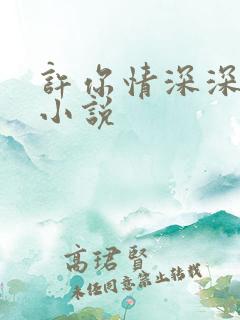 许你情深深似海小说
