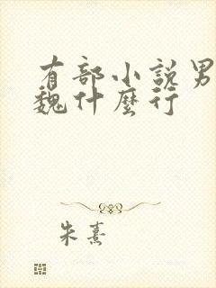 有部小说男主叫魏什么行