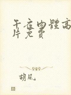 午夜肉体高潮毛片免费