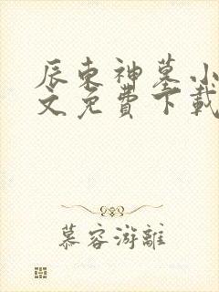 辰东神墓小说全文免费下载