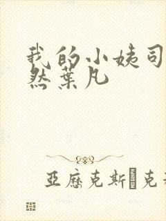 我的小姨司空嫣然叶凡