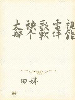 大秧歌电视剧在哪个软件能看