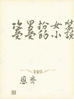 攻男扮女装嫁给受受的小说