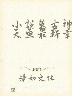 小说万古神帝飞天鱼最新章节列表最