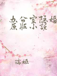 办公室隐婚轻黯原版小说