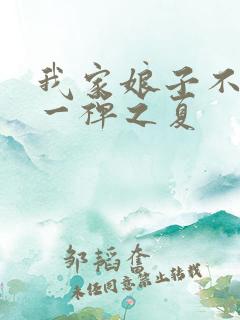 我家娘子不对劲一禅之夏