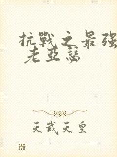 抗战之最强兵王 老亚瑟