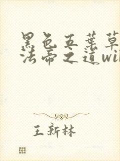 黑色五叶草m魔法帝之道wiki