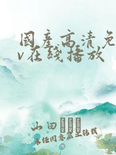 国产高清免费av在线播放