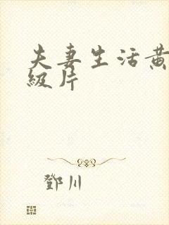 夫妻生活黄色一级片