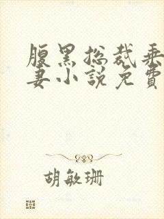 腹黑总裁乘胜追妻小说免费阅读