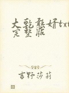 大乾憨婿txt完整版