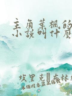 主角叶枫的都市小说叫什么名字