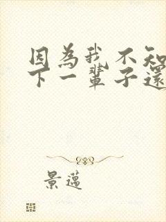 因为我不知道,下一辈子还是否能遇见你