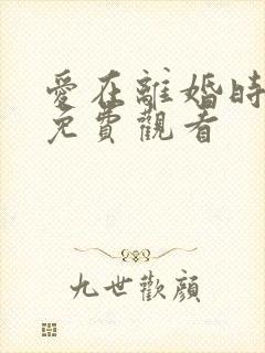 爱在离婚时短剧免费观看