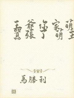 王爷你家萌妃太嚣张了 萌主千岁