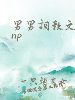 男男调教文双性np