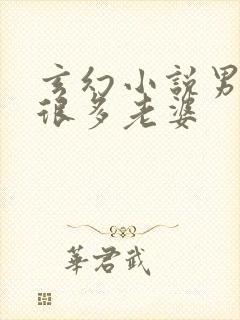 玄幻小说男主有很多老婆