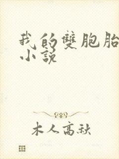 我的双胞胎老婆小说