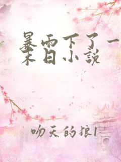 暴雨下了一年的末日小说