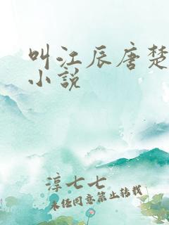 叫江辰唐楚楚的小说