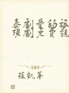 泰剧爱的旅途电视剧免费观看