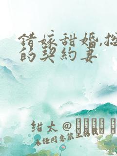 错嫁甜婚,总裁的契约妻