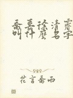 乔嘉徐清霁小说叫什么名字