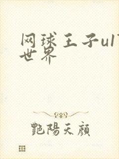 网球王子u17世界