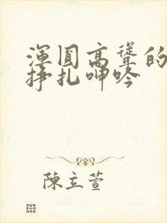 浑圆高耸的人妻挣扎呻吟