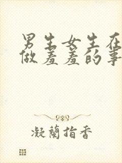 男生女生在一起做羞羞的事